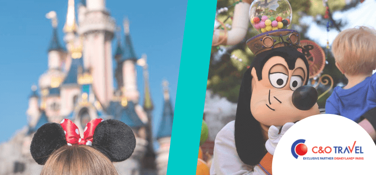 Disneyland Parijs losse inkomtickets
