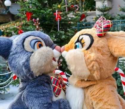 Aanbiedingen Disneyland Parijs seizoenen